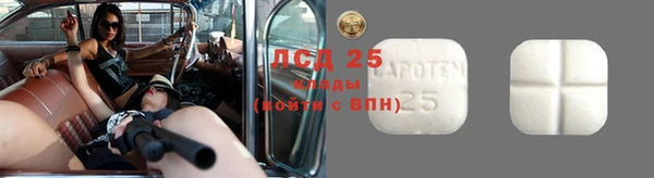 молекула духа Гусиноозёрск