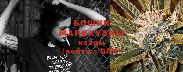 молекула духа Гусиноозёрск