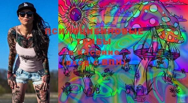 марки lsd Гусев