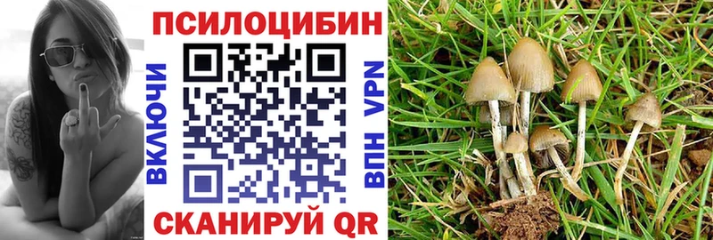 Псилоцибиновые грибы Psilocybine cubensis  Среднеколымск 